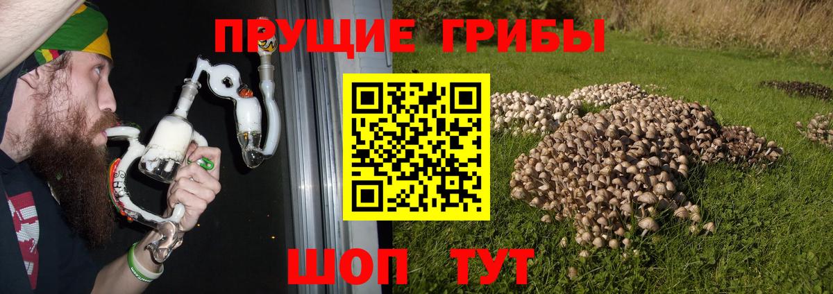 Галлюциногенные грибы Cubensis Карталы