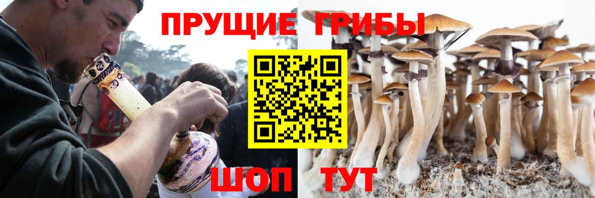 Карталы  Псилоцибиновые грибы мухоморы  Вход с VPN 